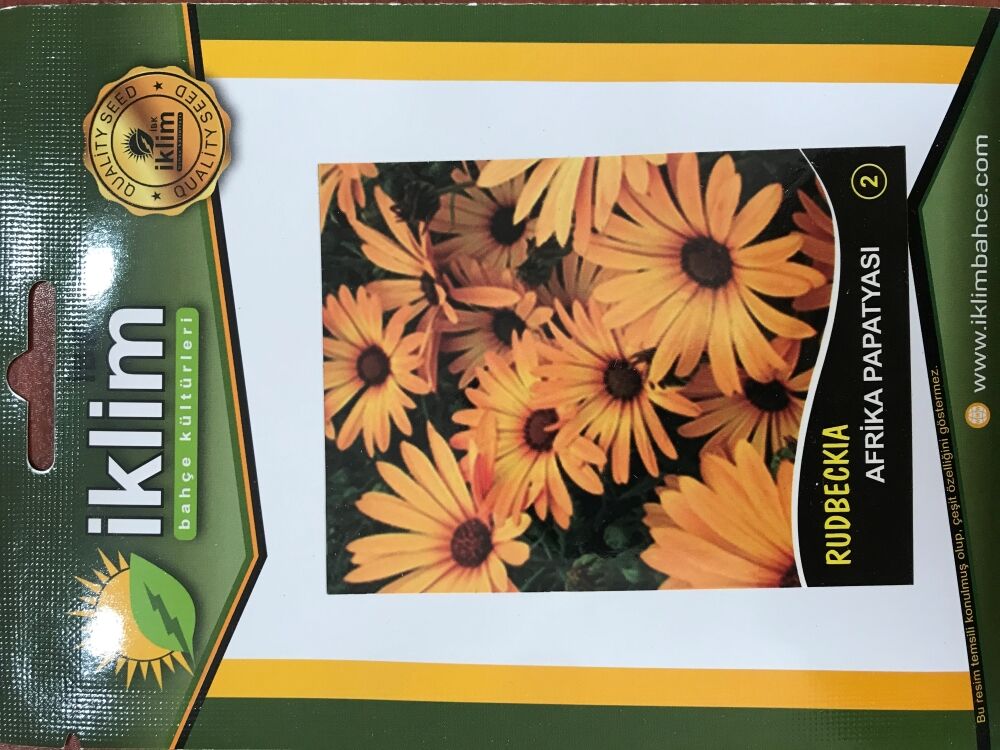 AFRİKA PAPATYASI ÇİÇEĞİ TOHUMU-2