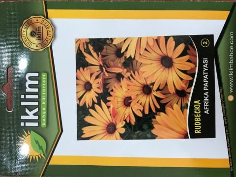 AFRİKA PAPATYASI ÇİÇEĞİ TOHUMU-2