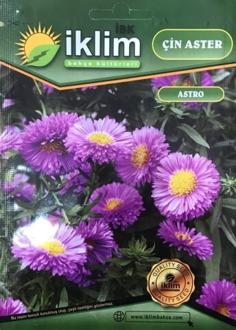 Çin Aster Çiçek Tohumu - Callistephus Chinensis (~ Takribi 40 Tohum)