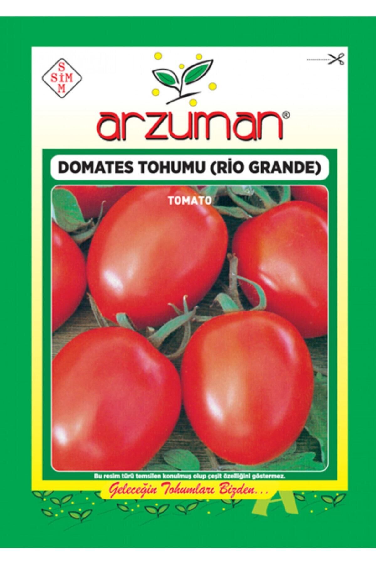 Karahasanoğlu Tarım Rio Grande Domates Tohumu 5 Gr Ort 2000 Ad Tohum