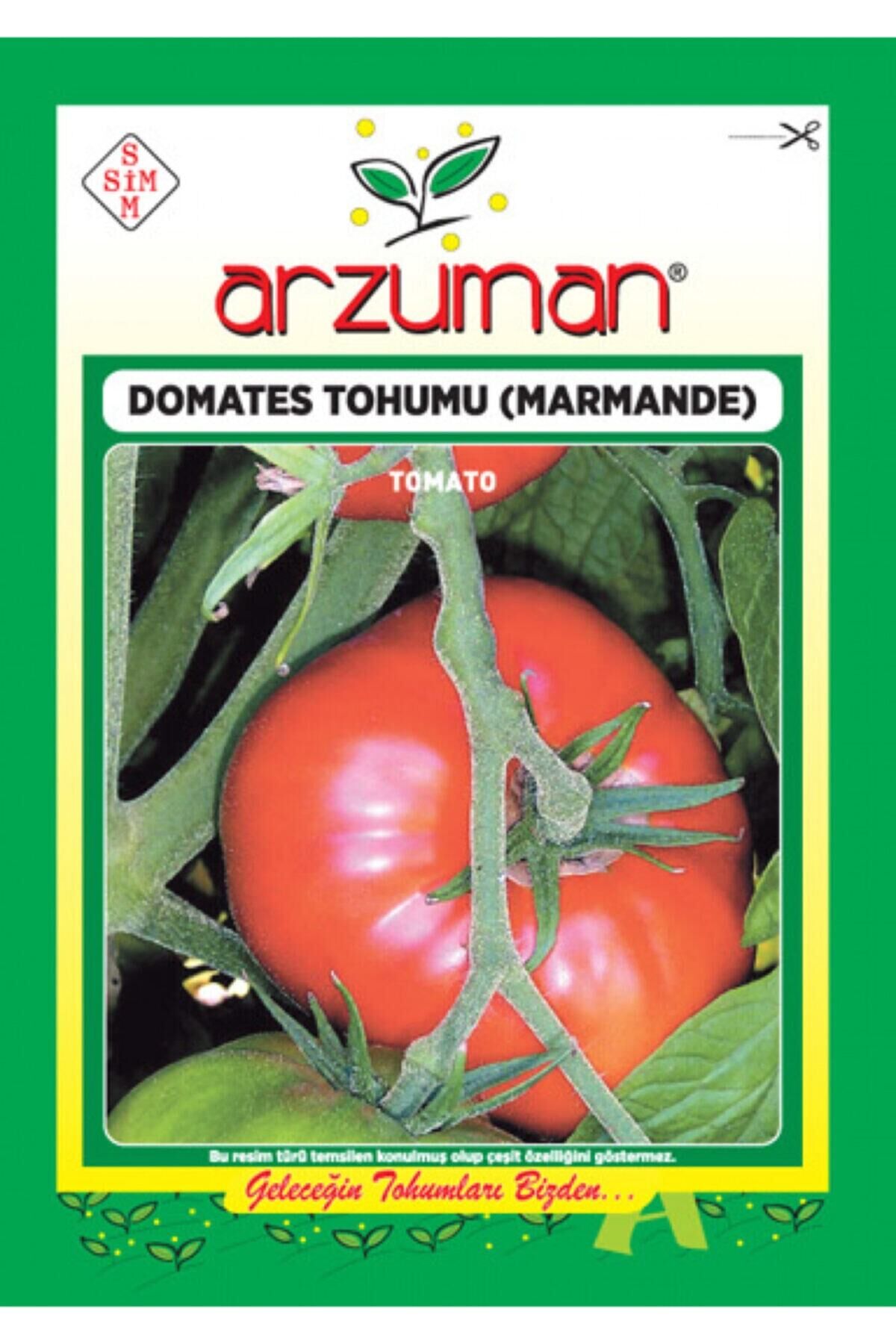 Karahasanoğlu Tarım Marmande Domates Tohumu 500 Ad Tohum