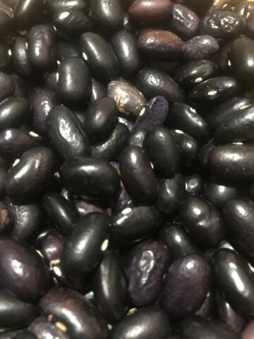 YERLİ BEYAZ TURŞULUK UZUN-ENLİ SIRIK FASULYE TOHUMU 500 GR (MOR-UZUN TOHUM)