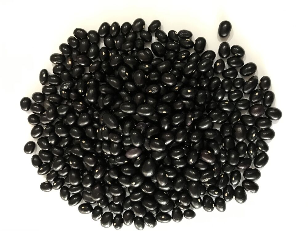 YERLİ SIRIK FASULYE TOHUMU (SİYAH) 100 GR