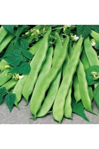 Karahasanoğlu Tarım YERLİ GENİŞ SIRIK FASULYE TOHUMU 100 GR (KAHVERENGİ)
