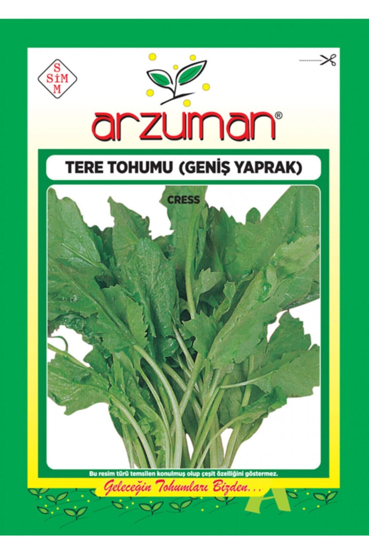 Karahasanoğlu Tarım Geniş Yaprak Tere Tohumu 25 Gr 7500 Ad Tohum