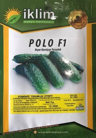 SALATALIK KORNİŞON TURŞULUK HİBRİT POLO F1 - 5 GR TAKRİBİ 100 AD