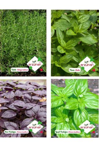 KEKİK - NANE - MOR FESLEĞEN - YEŞİL FESLEĞEN 4'LÜ TOHUM SETİ