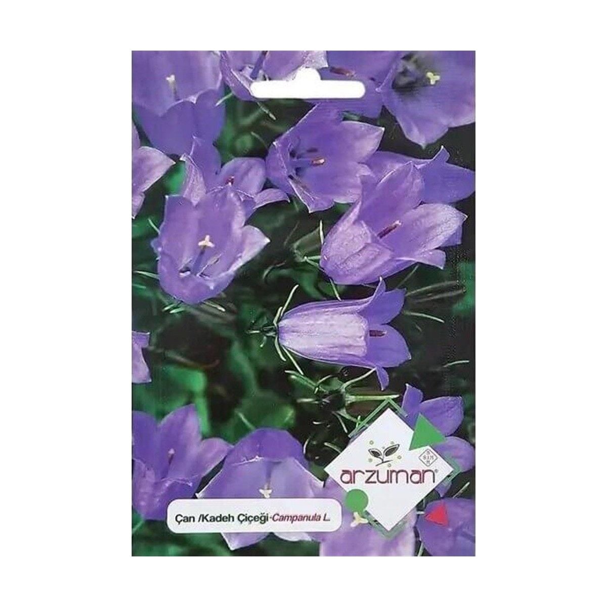 Çan/kadeh Çiçeği Tohumu (100 Adet)