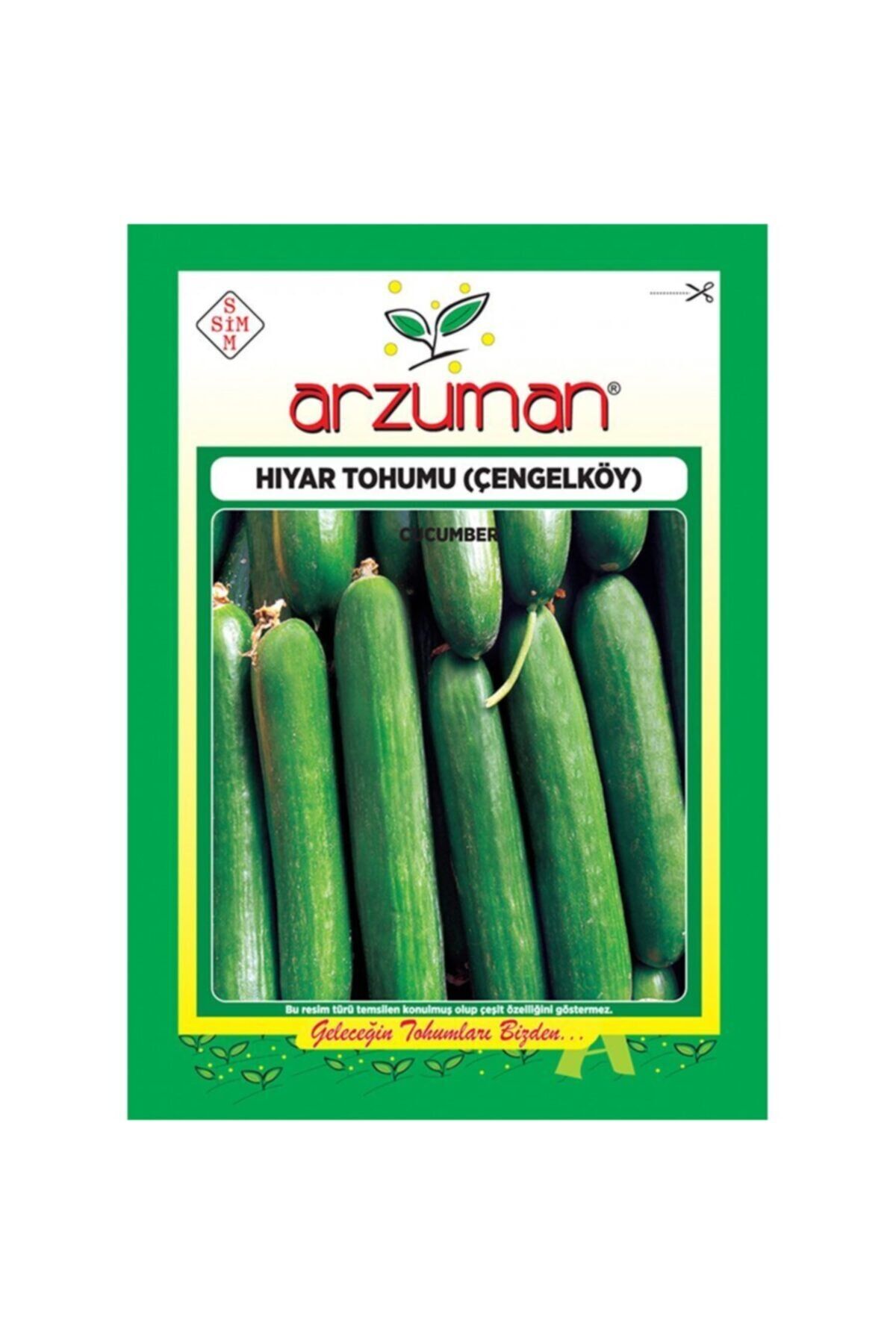 Eski Çeşit Çengelköy Salatalık Tohumu-10 Gram