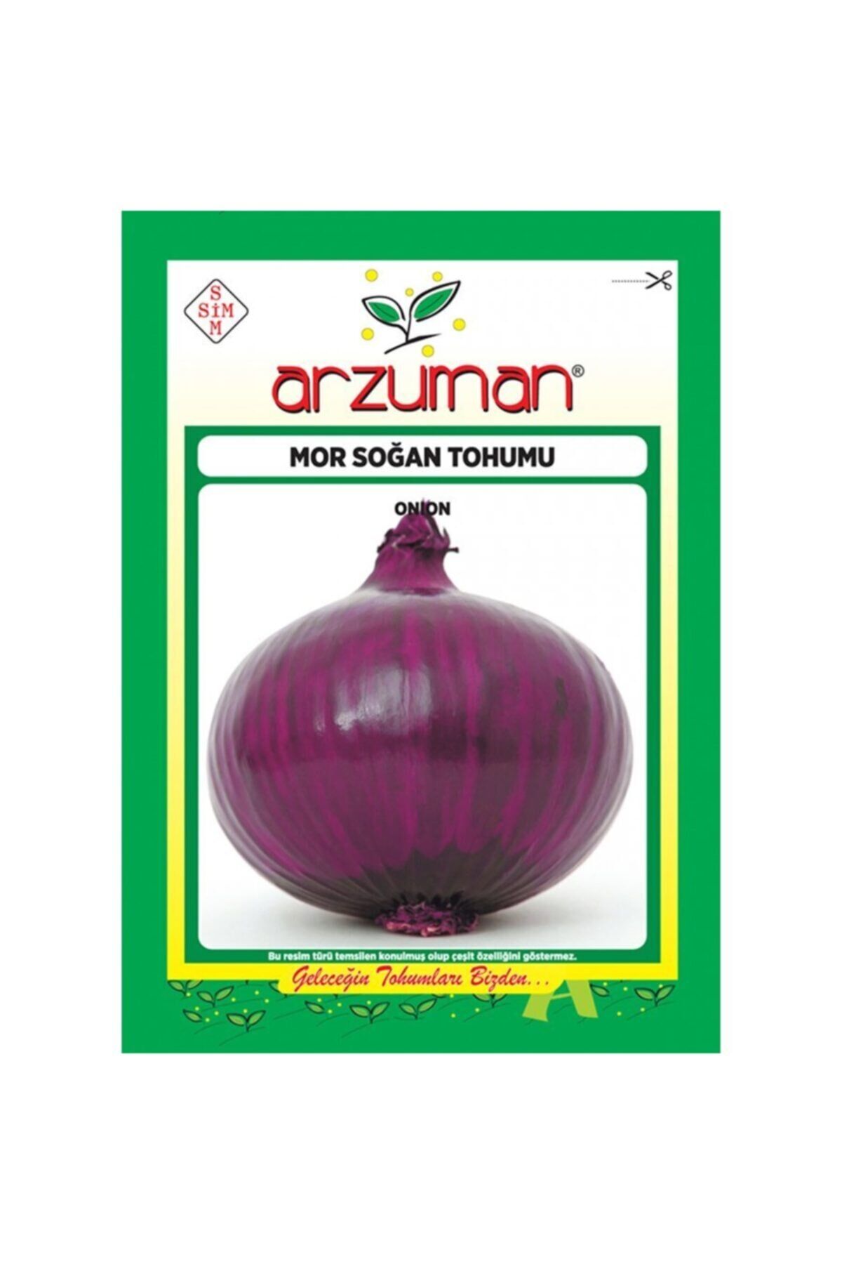 Uzun Gün Mor Soğan Tohumu-5 Gram