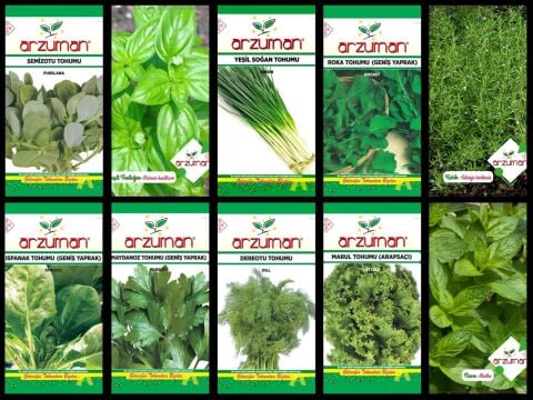 SERTİFİKALI YERLİ 10 ÇEŞİT YEŞİLLİK TOHUM SETİ-1 (SOLUCAN GÜBRESİ HEDİYE)