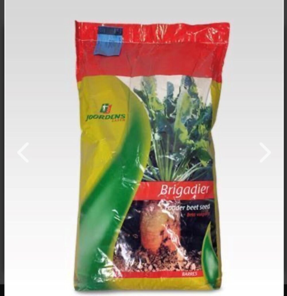 HAYVAN PANCARI-YEMLİK PANCAR TOHUMU 1000 GR