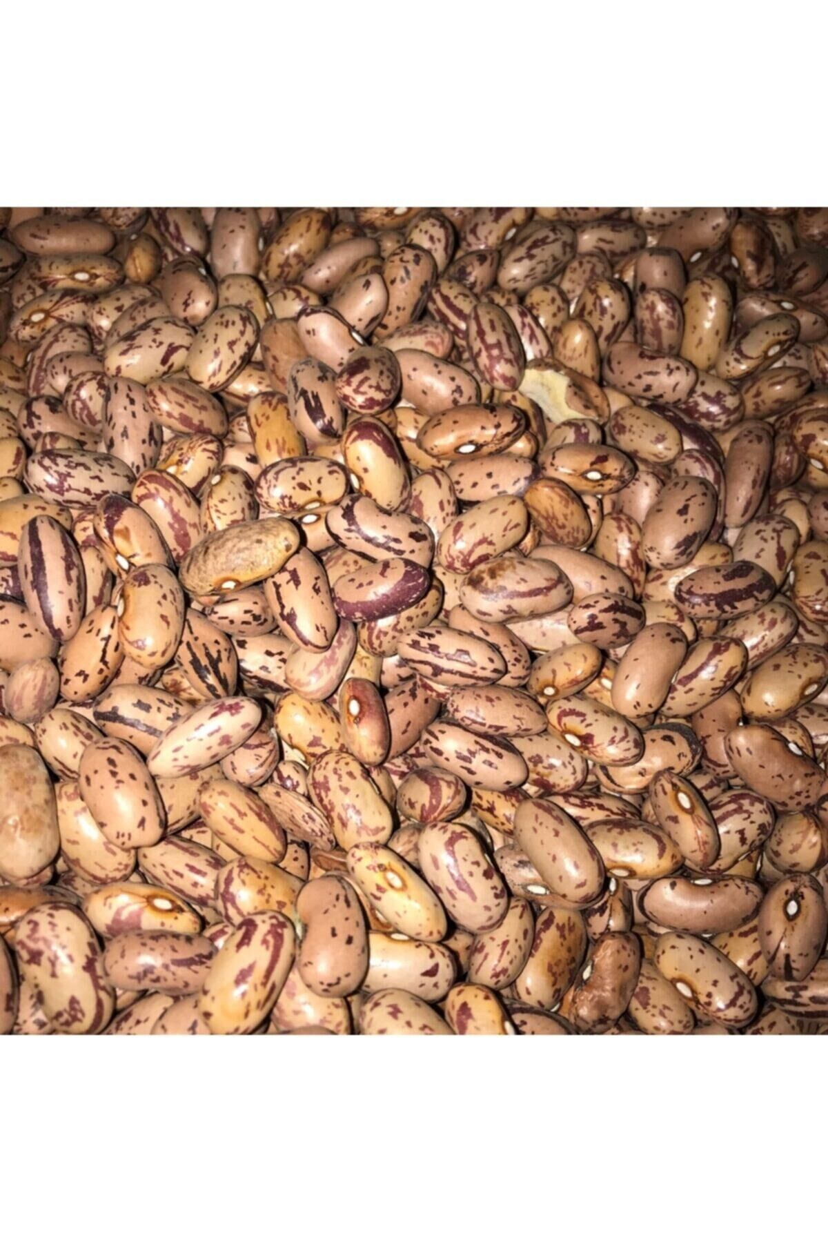 Karahasanoğlu Tarım Yerli Oturak Barbunya Tohumu 500 Gr