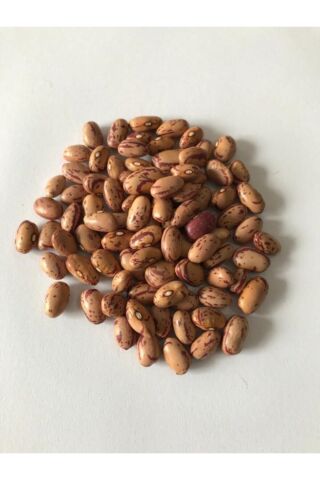 Karahasanoğlu Tarım Yerli Oturak Barbunya Tohumu 500 Gr