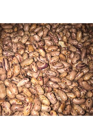 Karahasanoğlu Tarım Yerli Oturak Barbunya Tohumu 100 Gr