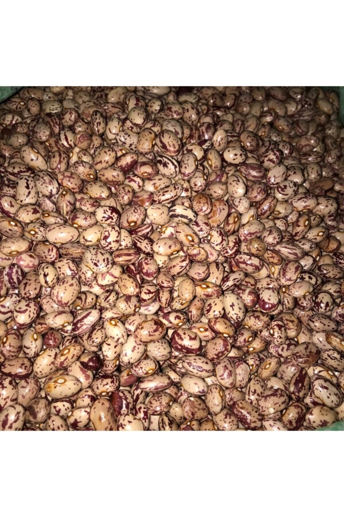 Karahasanoğlu Tarım Yerli Yuvarlak Sırık Barbunya Tohumu 100 gr