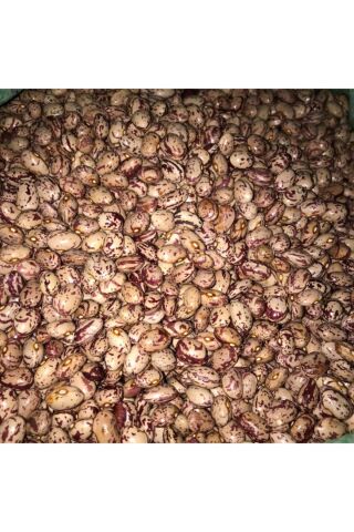 Karahasanoğlu Tarım Yerli Yuvarlak Sırık Barbunya Tohumu 100 gr