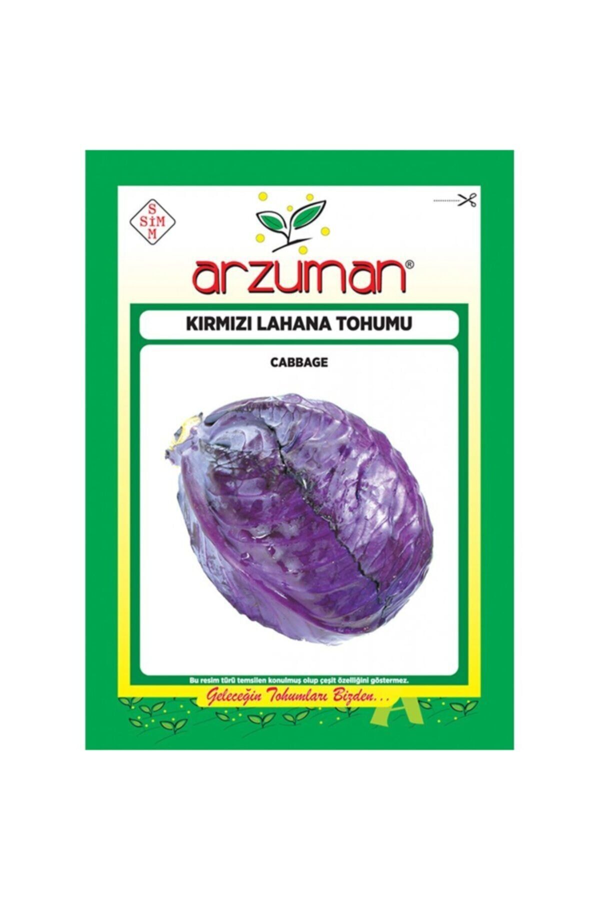 Kırmızı-mor Lahana Tohumu-10 Gram