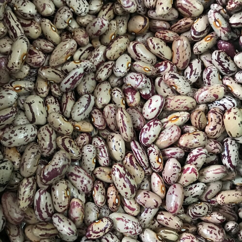 YERLİ UZUN SIRIK BARBUNYA TOHUMU 100 GR