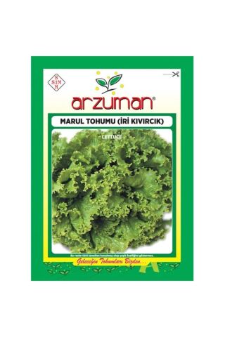 Lezzetli Iri Kıvırcık Marul Tohumu-10 Gram