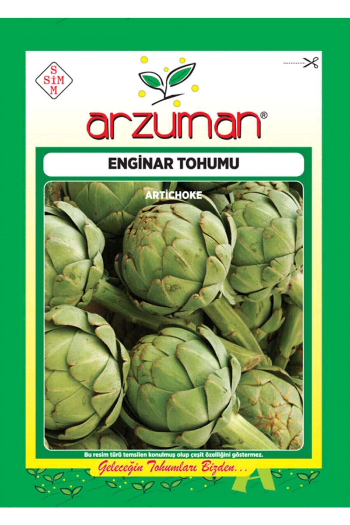 Karahasanoğlu Tarım Enginar Tohumu 20 Ad Tohum