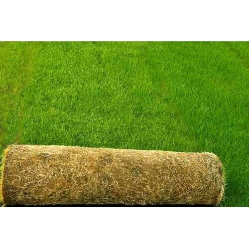 ÇİM TOHUMU 4 LÜ KARIŞIM 1 KG