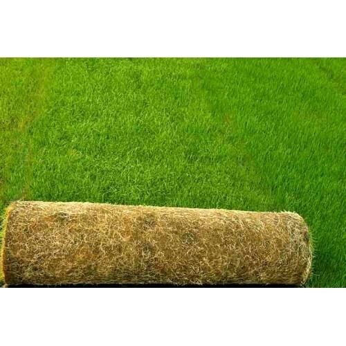 ÇİM TOHUMU 4 LÜ KARIŞIM 1 KG