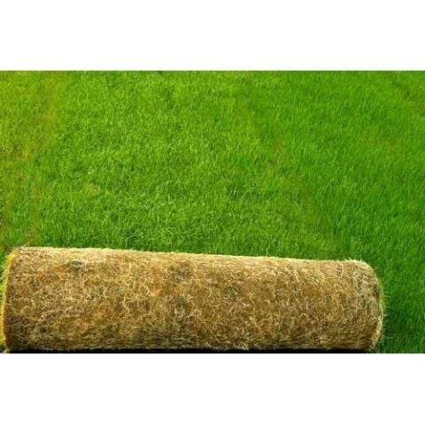 ÇİM TOHUMU 4 LÜ KARIŞIM 1 KG