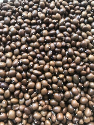 YERLİ BONCUK AYŞE SIRIK FASULYE TOHUMU 100 GR