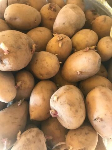 Agria Yerli Tohumluk Patates 1 Kg