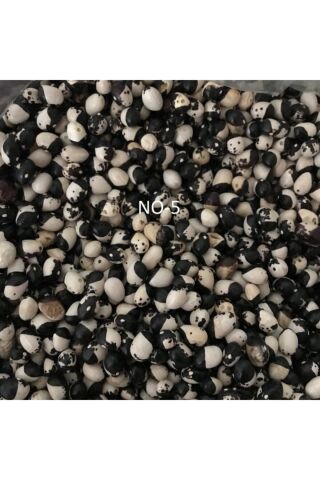 Karahasanoğlu Tarım Yerli Sırık Ayşe Kadın Fasulye Tohumu 100 gr (Siyah Beyaz)