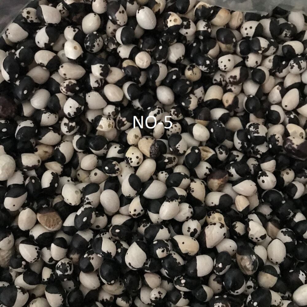 YERLİ AYŞE KADIN SIRIK FASULYE TOHUMU 100 GR (SİYAH BEYAZ)
