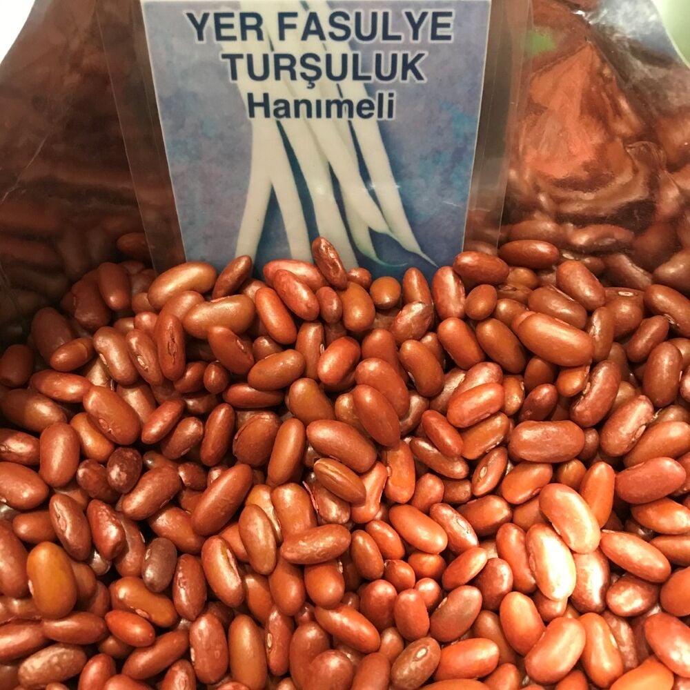 YERLİ TURŞULUK OTURAK FASULYE TOHUMU 100 GR (HANIMELİ)