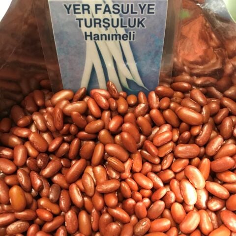 YERLİ TURŞULUK OTURAK FASULYE TOHUMU 100 GR (HANIMELİ)