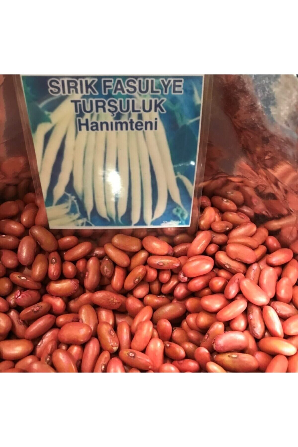 Karahasanoğlu Tarım Yerli Turşuluk Sırık Fasulye Tohumu 100 gr (HANIMTENİ)