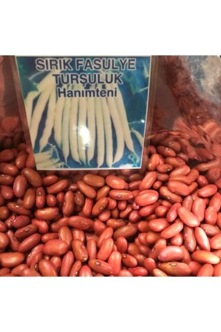 Karahasanoğlu Tarım Yerli Turşuluk Sırık Fasulye Tohumu 100 gr (HANIMTENİ)