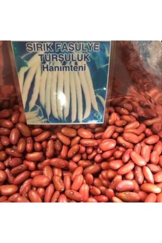 Karahasanoğlu Tarım Yerli Turşuluk Sırık Fasulye Tohumu 100 gr (HANIMTENİ)