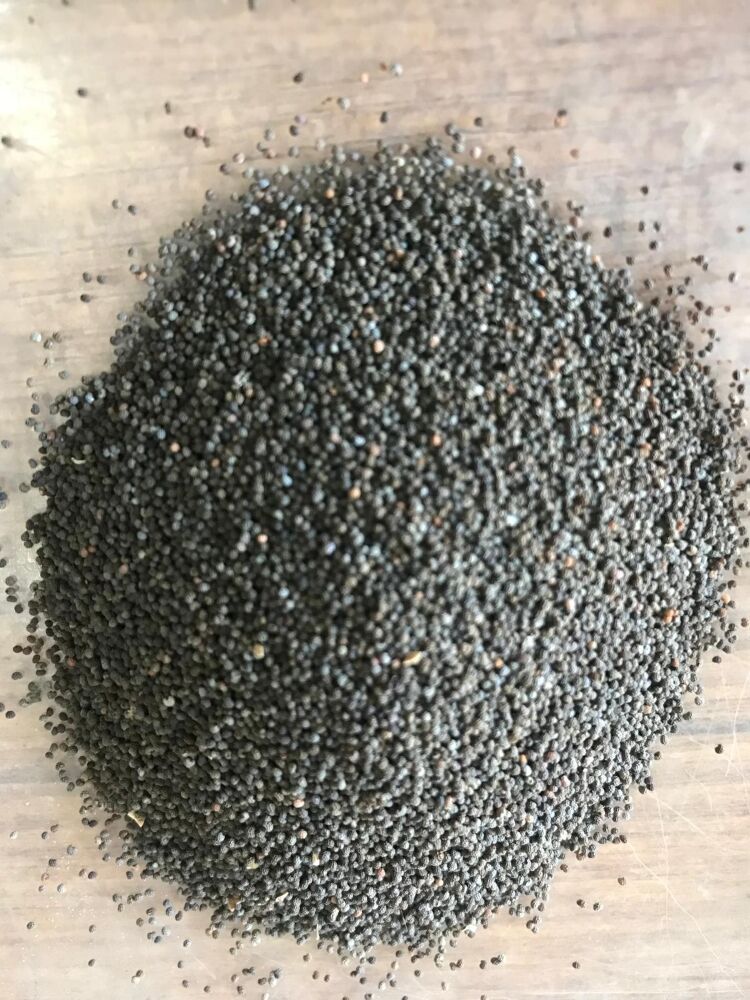 Yerli Ata Tohumu Haşhaş 500 Adet