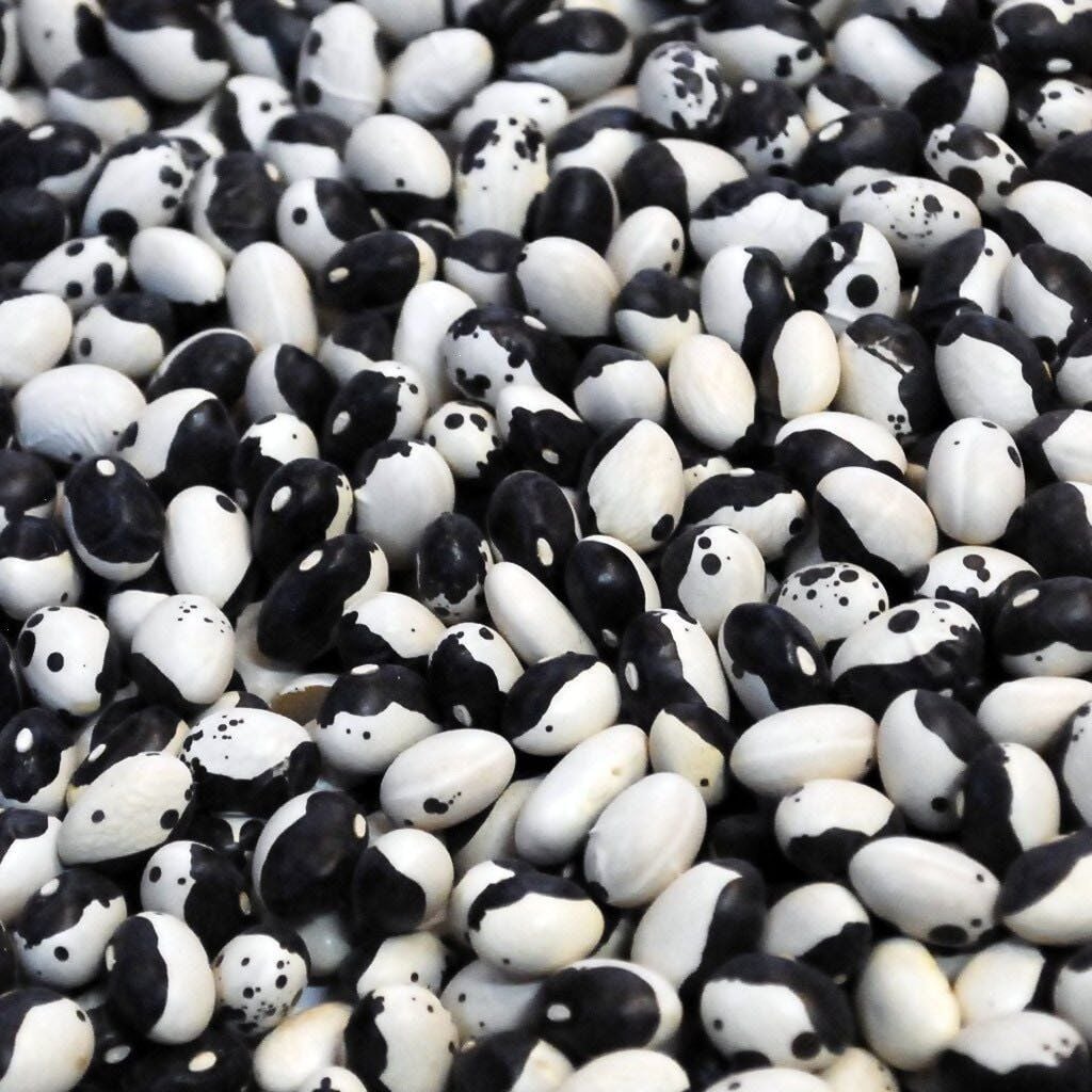 YERLİ AYŞE KADIN SIRIK FASULYE TOHUMU 500 GR (SİYAH BEYAZ)