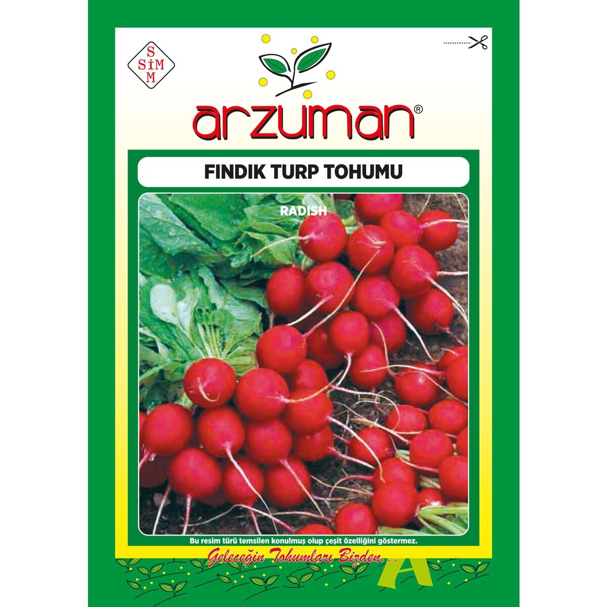 Fındık Turp Tohumu 25 Gram
