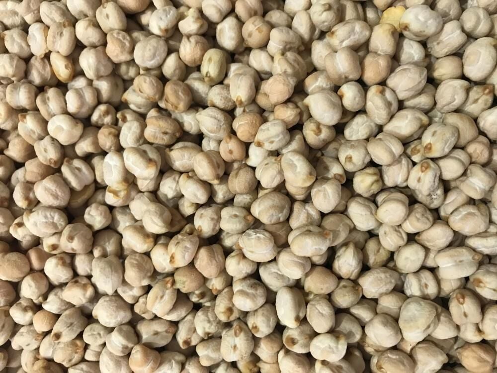 Yerli Nohut Tohumu 500 Gr