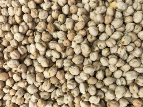 Yerli Nohut Tohumu 500 Gr