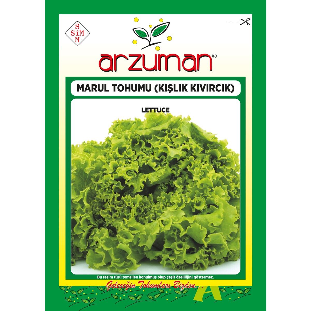Kışlık Kıvırcık Marul Tohumu 10 Gram