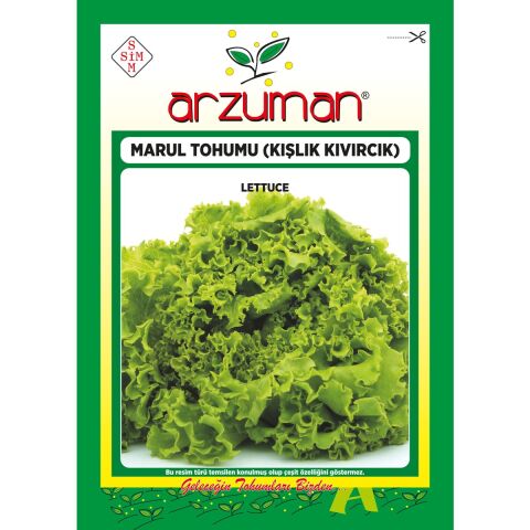 Kışlık Kıvırcık Marul Tohumu 10 Gram