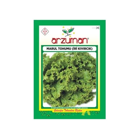 Sebze İri Kıvırcık Marul Tohum 10 gr