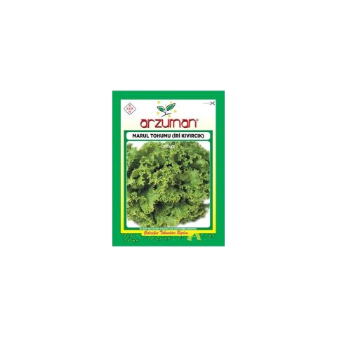 Sebze İri Kıvırcık Marul Tohum 10 gr