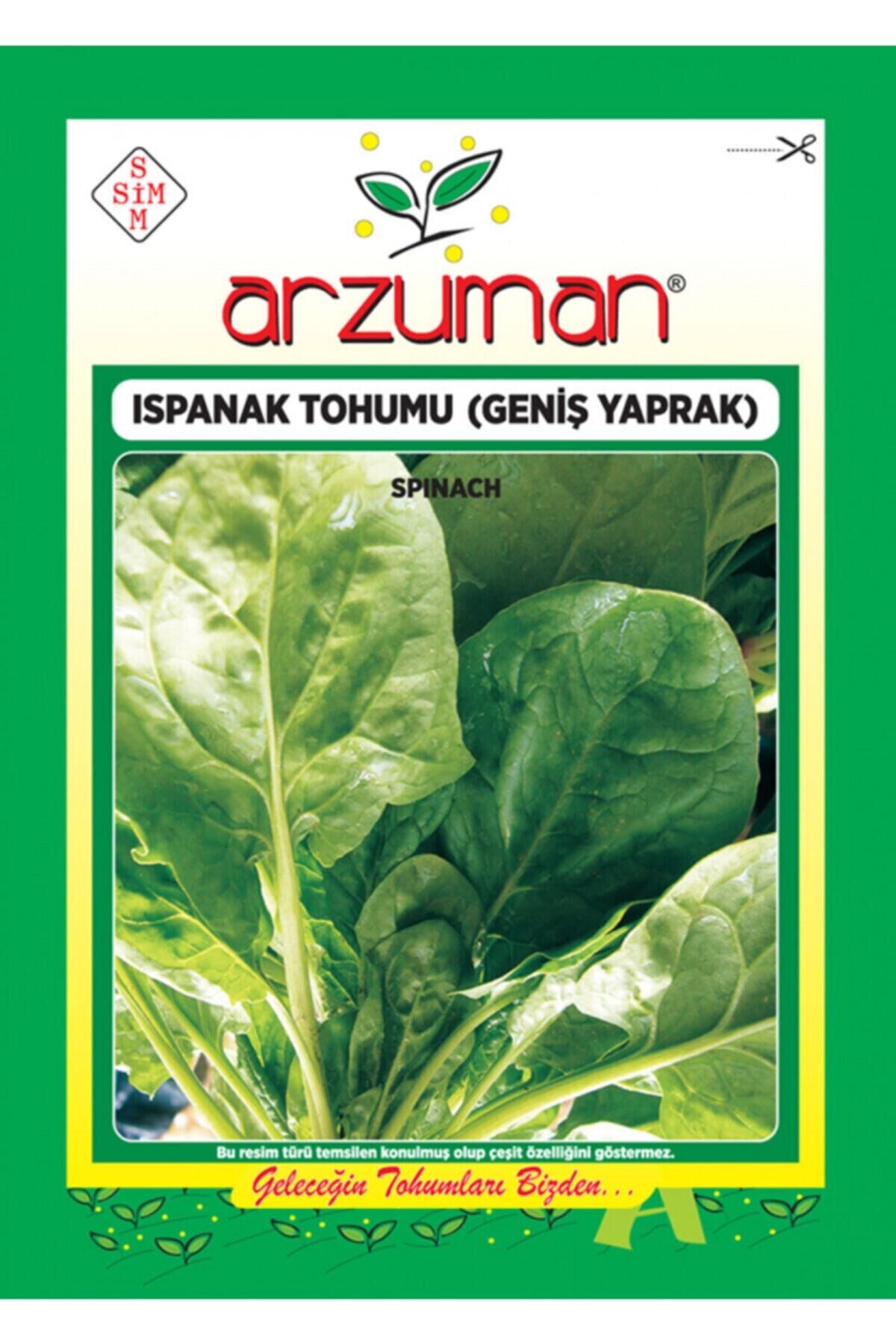 Karahasanoğlu Tarım Geniş Yaprak Ispanak Tohumu 10 Gr Ort 800 Ad Tohum