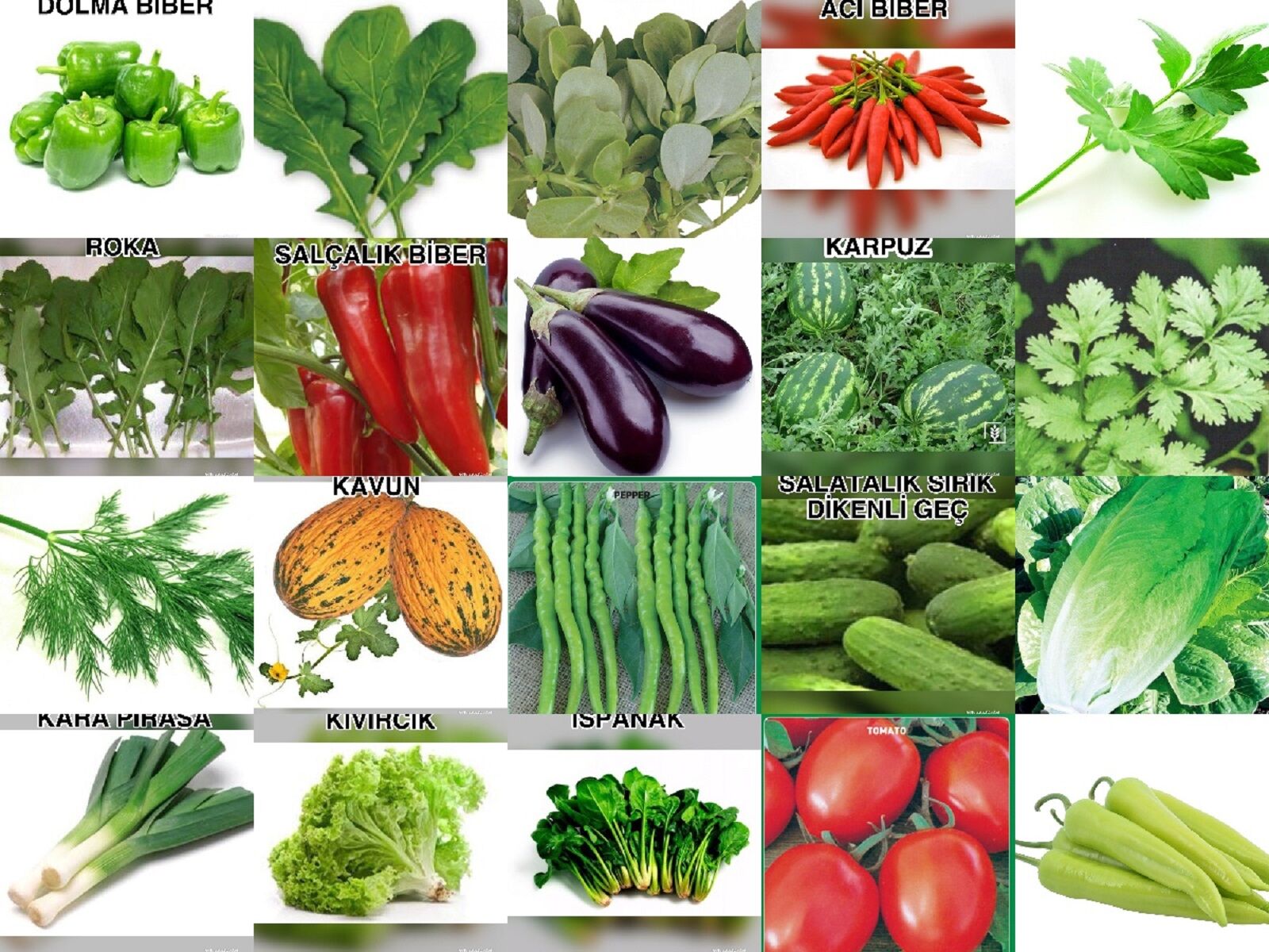 YERLİ 20 ÇEŞİT TOHUM SETİ-1 ORT 4500 AD+GÜBRE