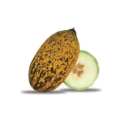Kavun Tohumu Kırkağaç Tipi (Uzun-Benekli) 10 gr