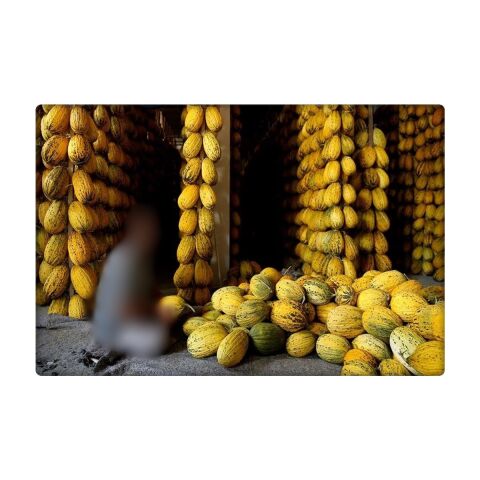 Kavun Tohumu Kırkağaç Tipi (Uzun-Benekli) 10 gr